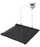Multifunction and Wheelchair Scales