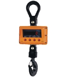 Crane Scales