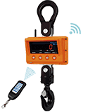 Wireless Crane Scales