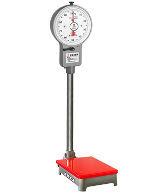 Dial Platform Scale